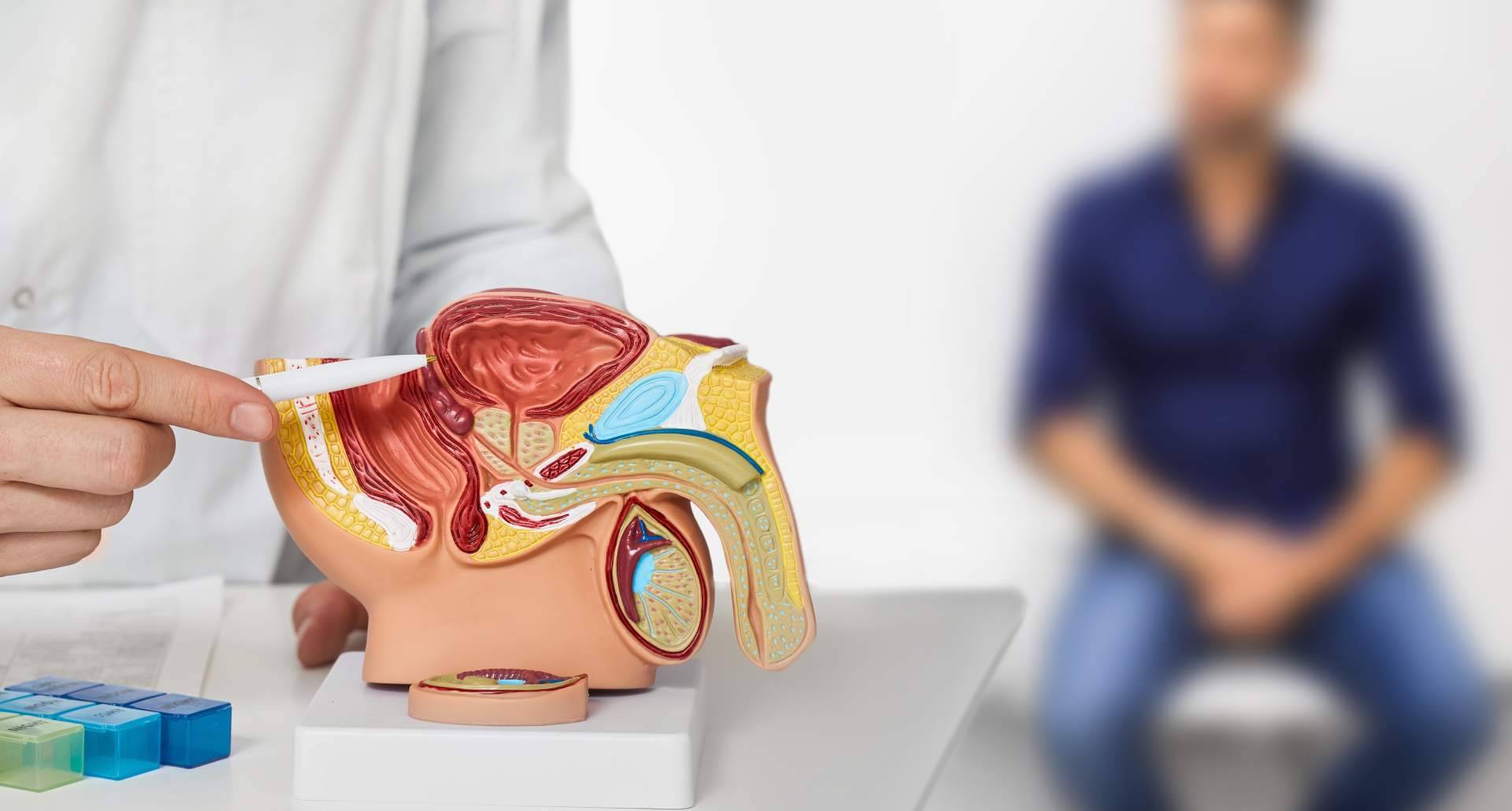 Discover the medical alternatives for couples with fertility problems