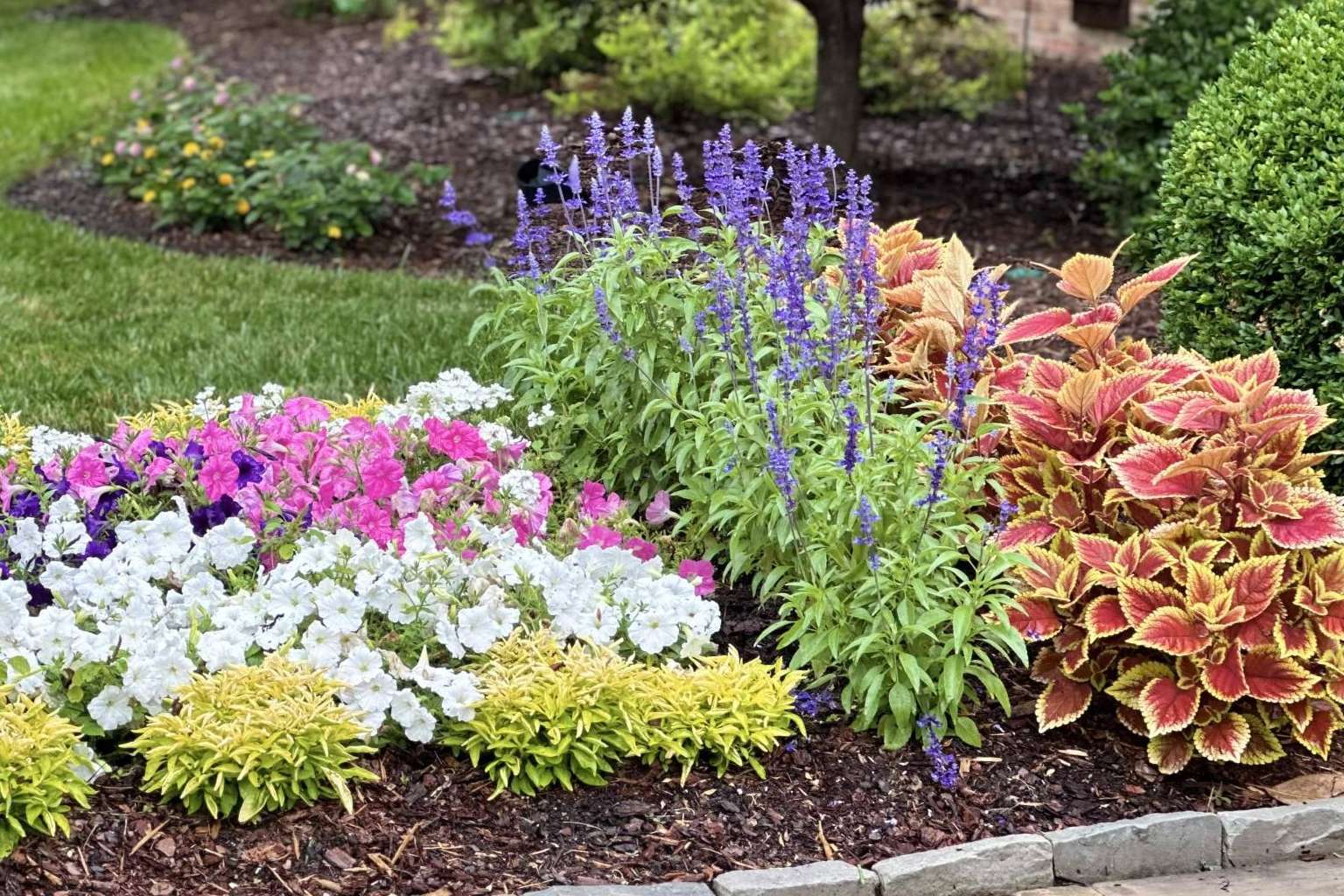 Expert landscaping services; Figueroa Landscape transforms outdoor spaces