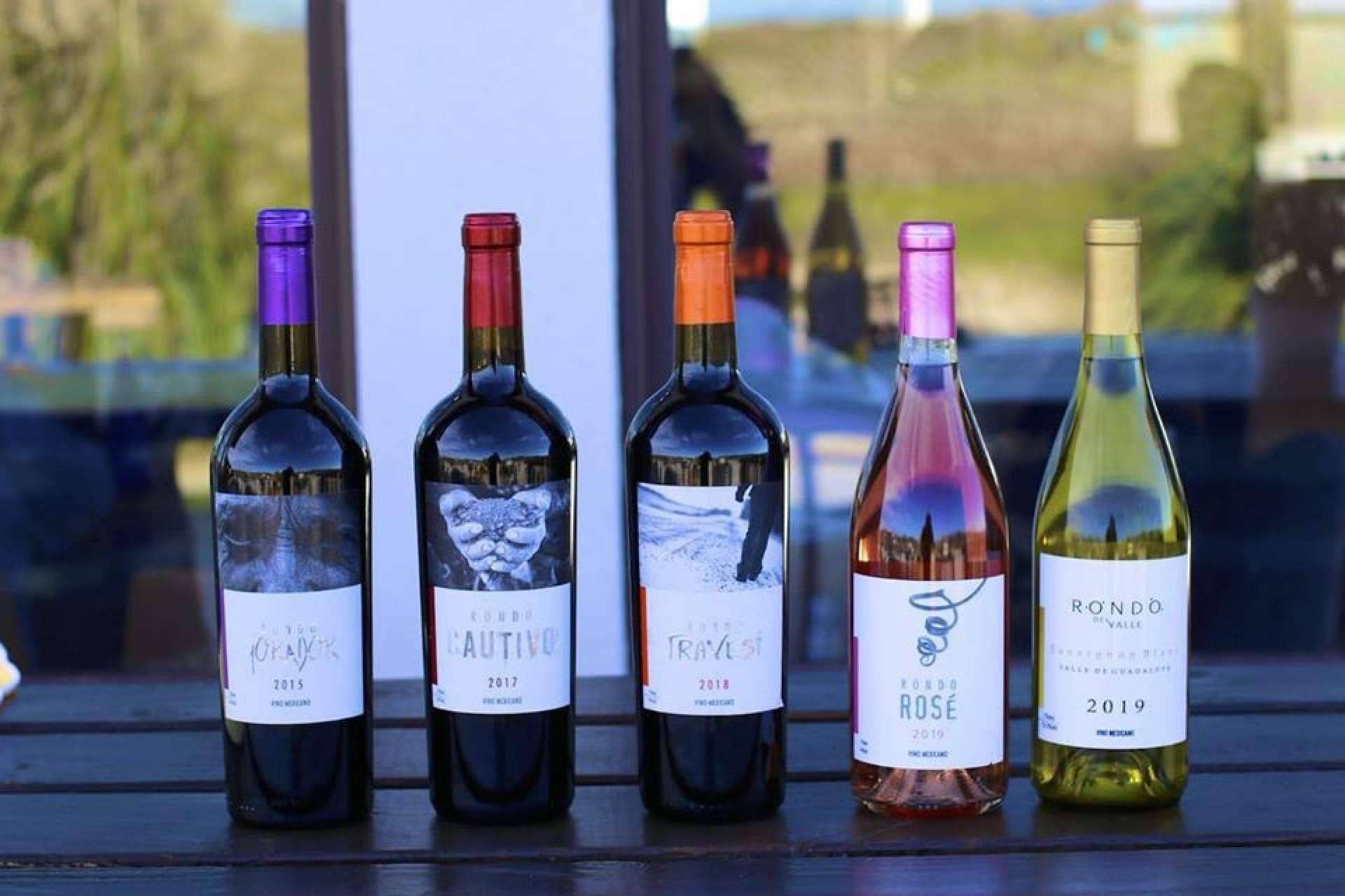 Vivir el vino desde el orígen en el Valle de Guadalupe