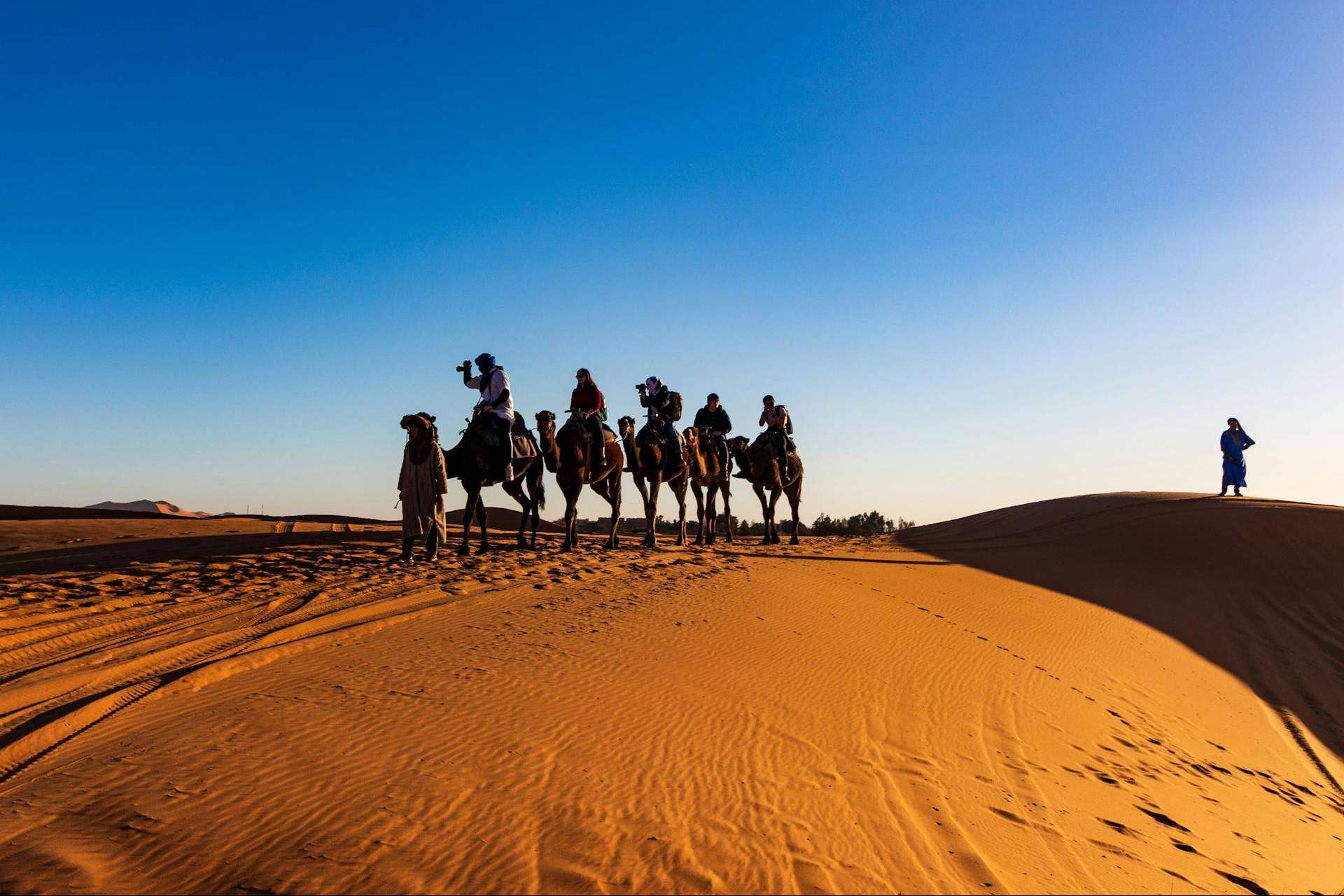 Feel the Magic of Morocco with Ultimate Desert Adventures and Day Trips from Marrakech
