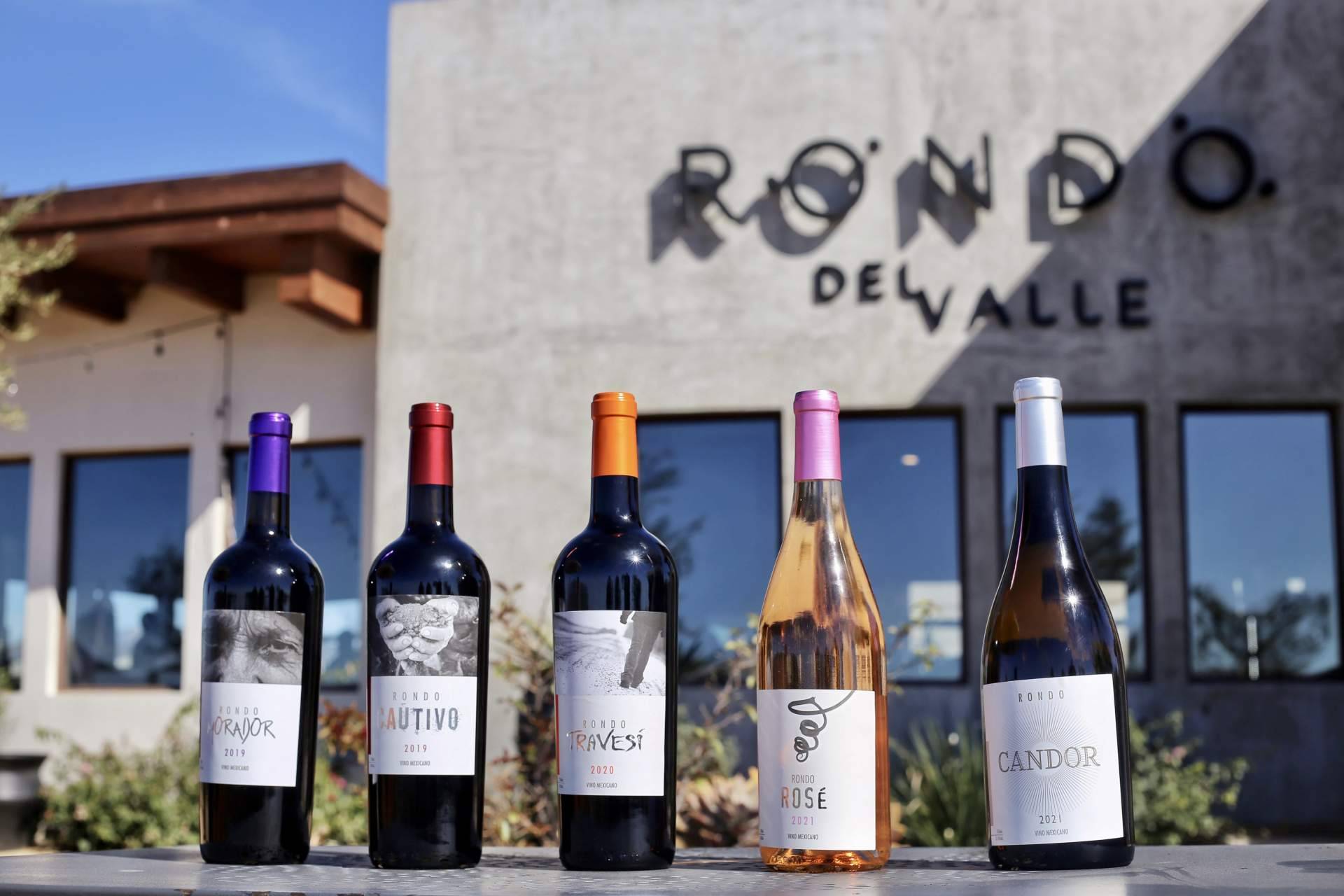 Rondo del Valle, descubriendo la excelencia de vinos selectos para cada ocasión