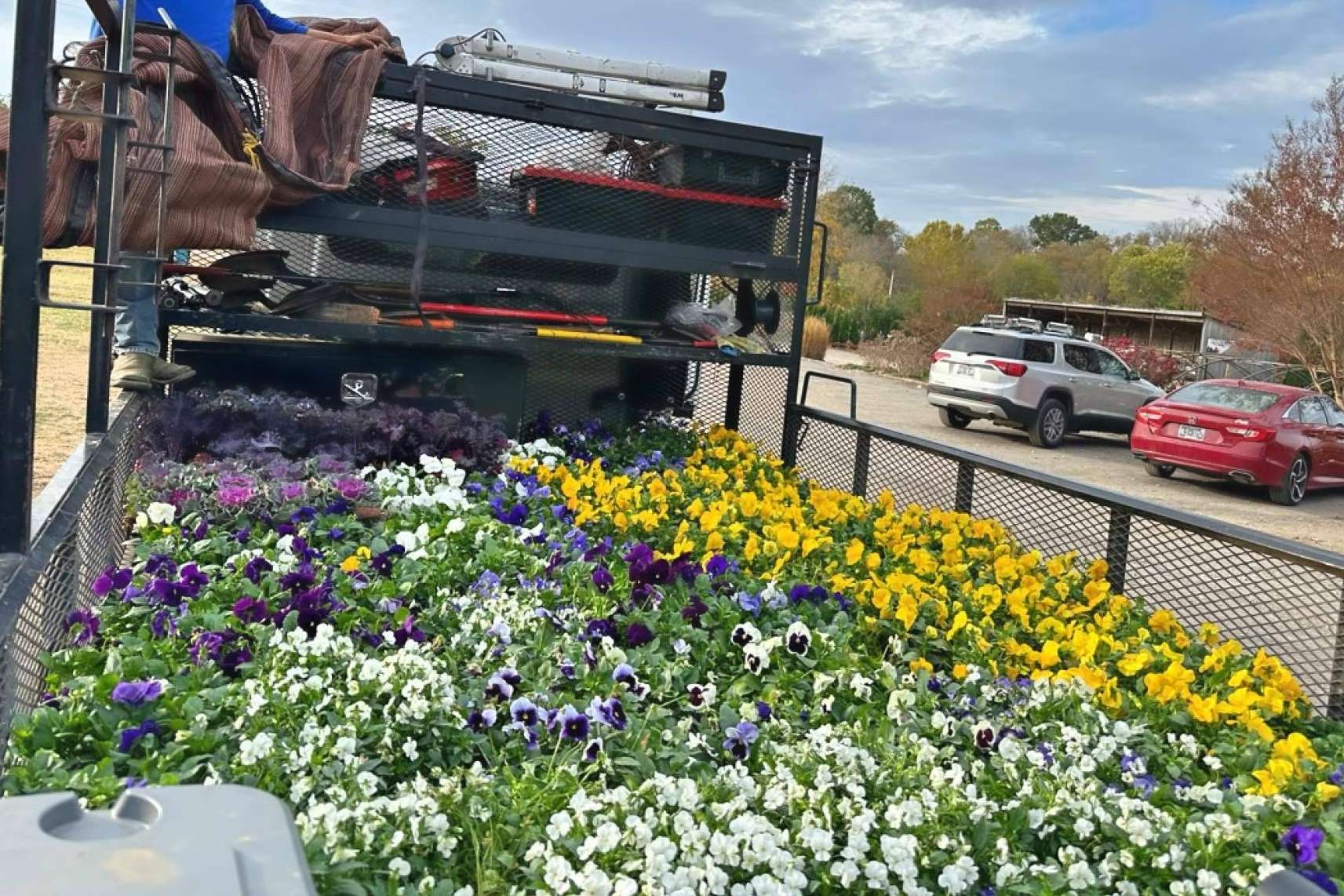 Flores de temporada para decorar el jardín y mejorar la estética del hogar