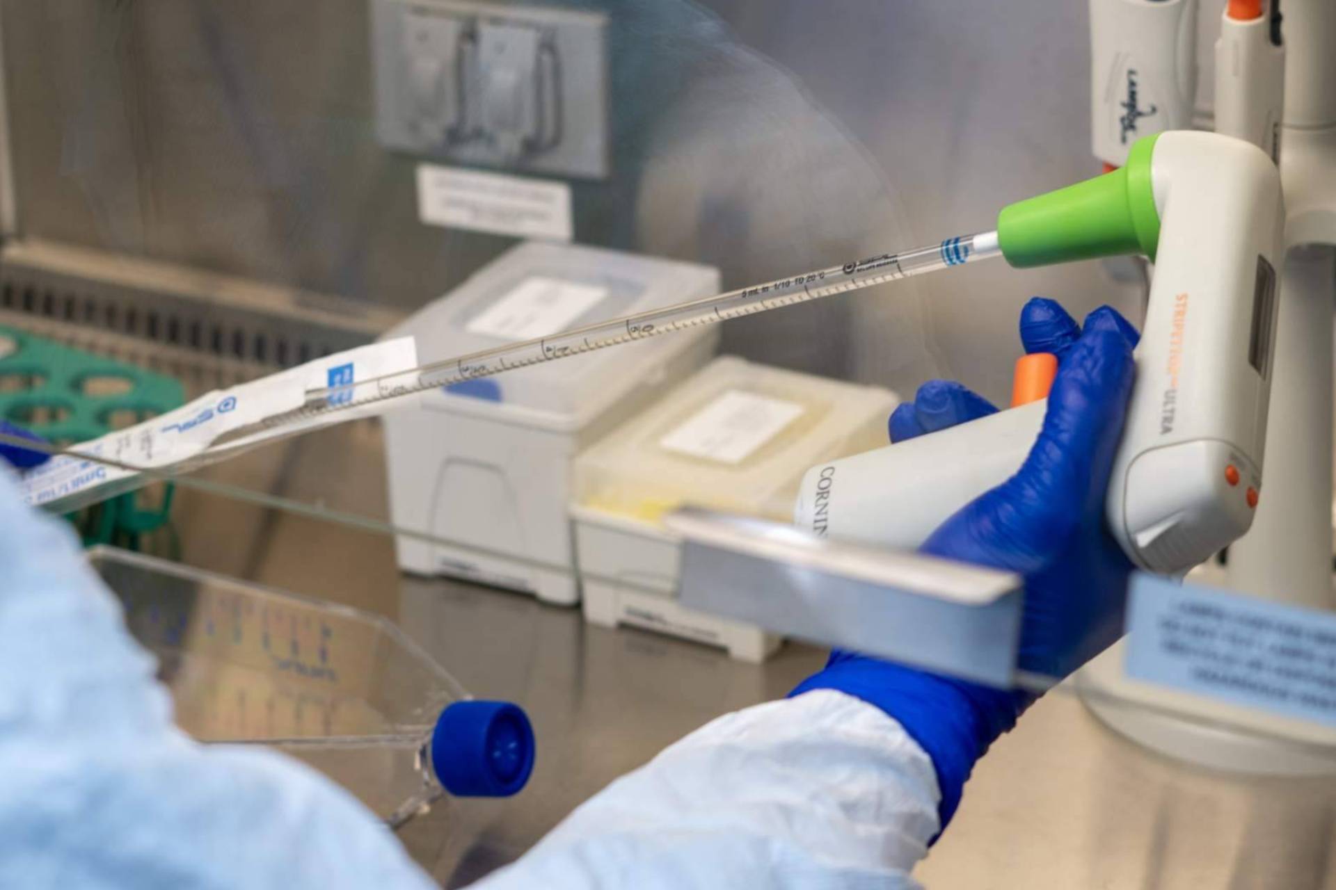 ONCOVIX; Nuevos avances en inmunoterapia DEX personalizada para cáncer