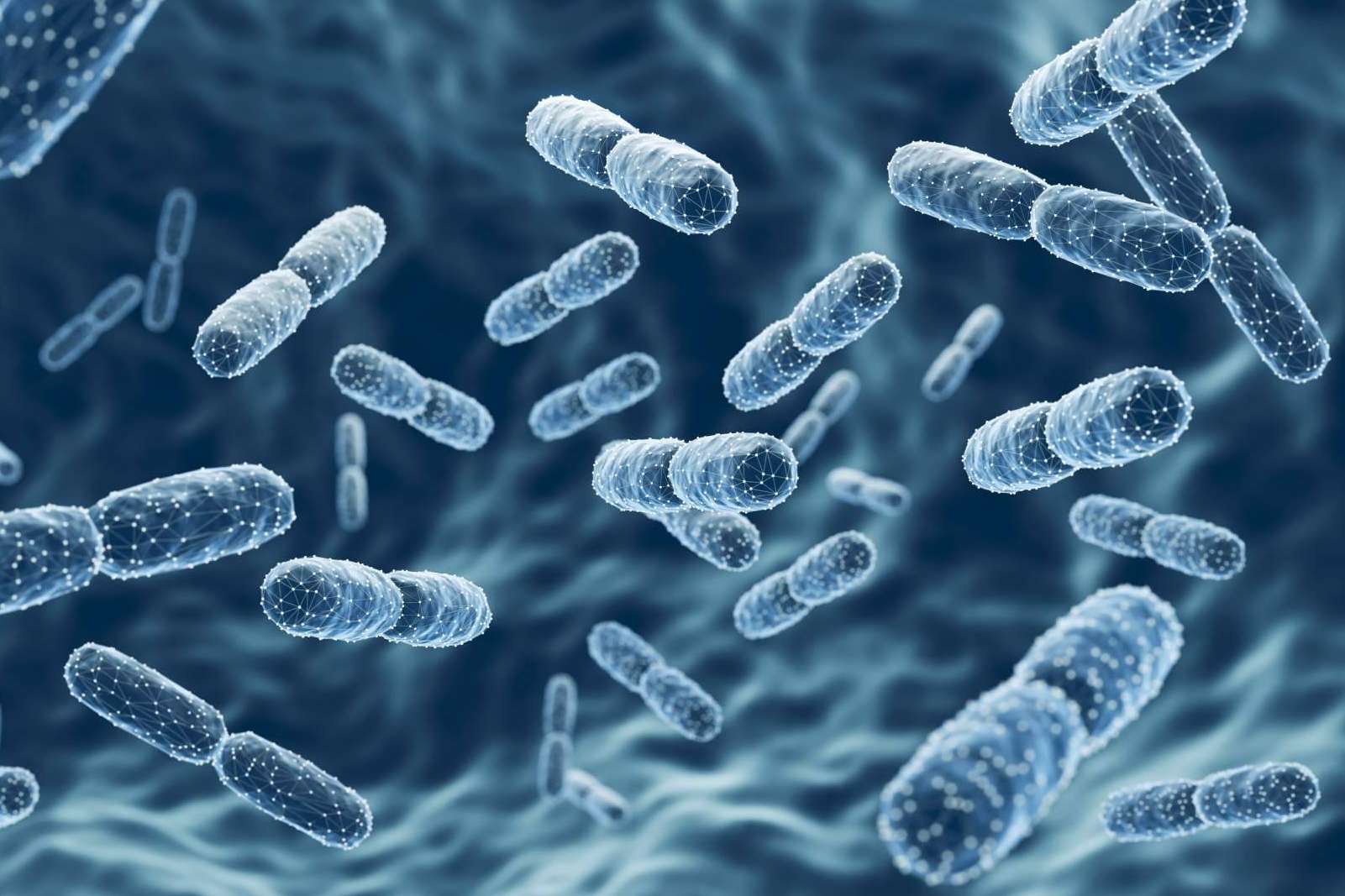 Rebuilding the Gut and Immune System with Human-Origin Probiotics; A New Frontier in Microbiome Health