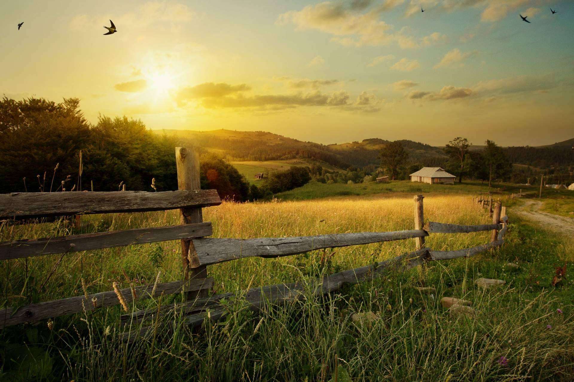 JSC Ingenium Joins NTCA to Help Broadband Providers Expand Mobile Offerings in Rural America