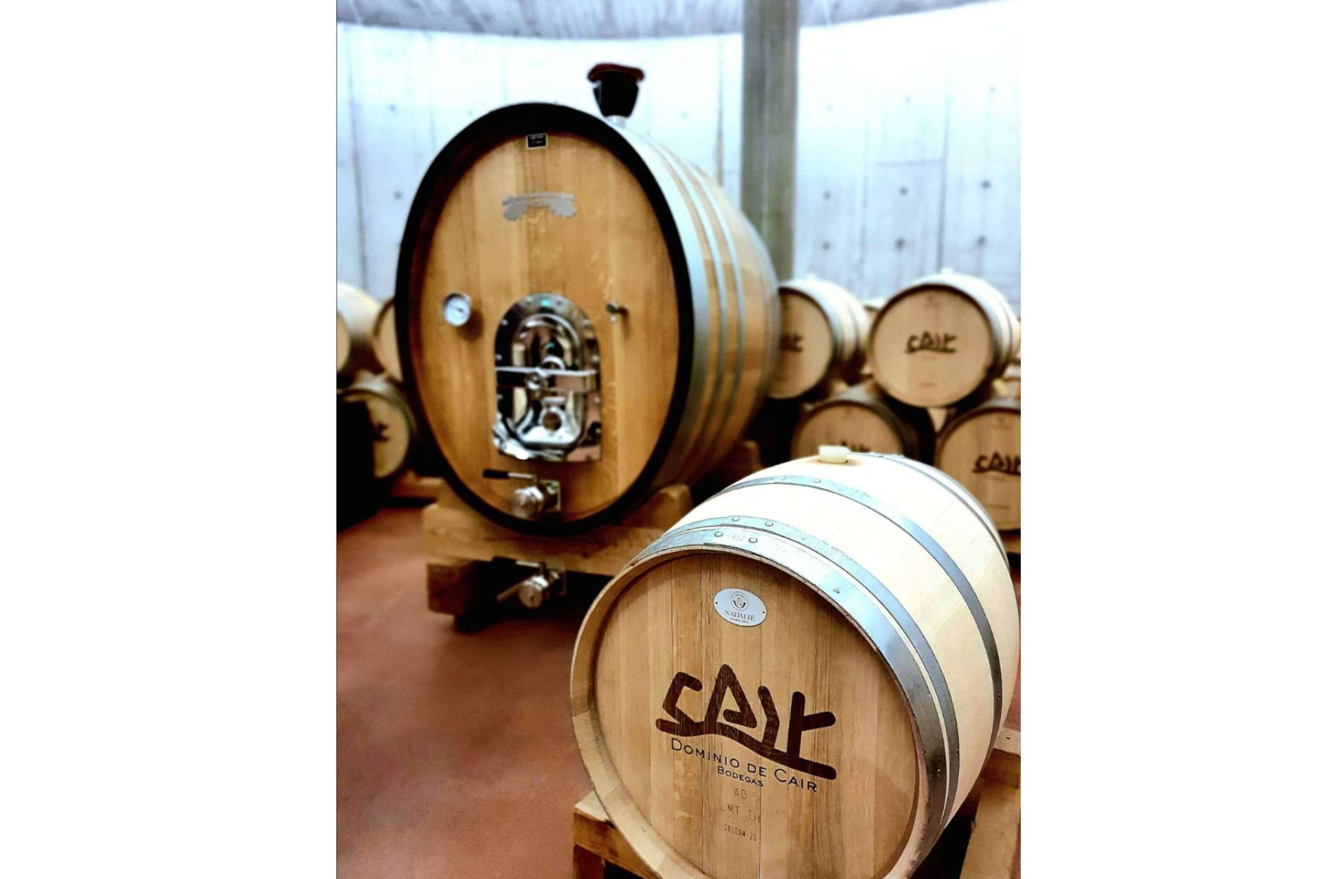 5 factors that determine the price of wine