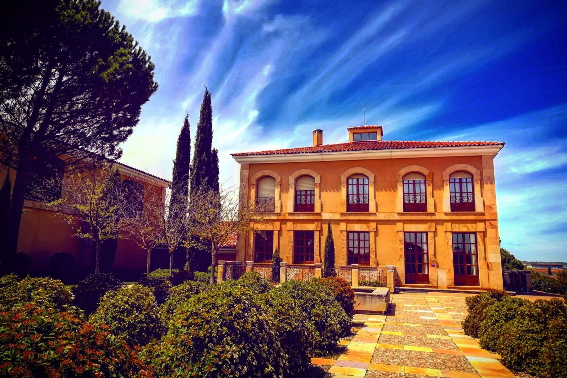 The difference between Ribera del Duero and Rioja, explained through their wines and landscapes
