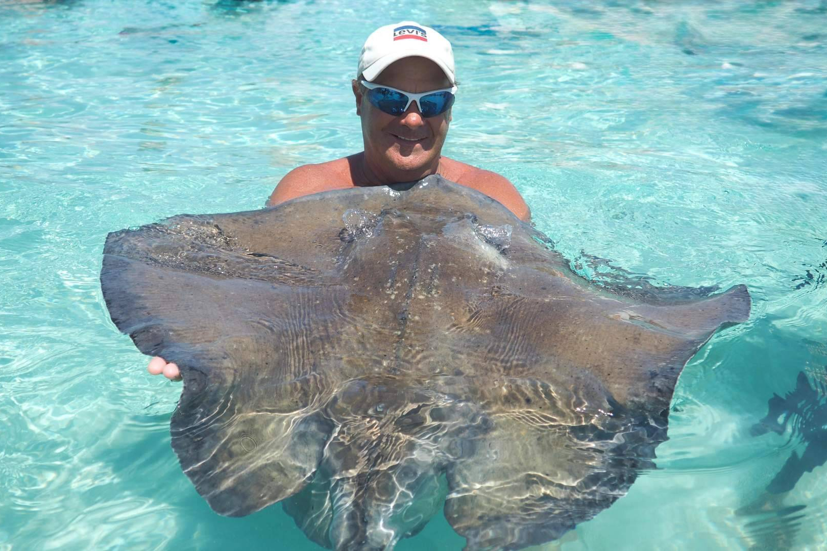 Stingray City tours in the Cayman Islands, a lifetime experience in Cayman’s crystal water